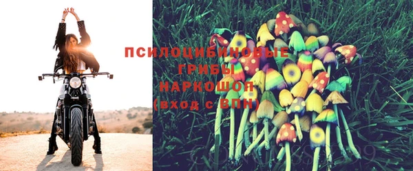 молекула духа Балабаново