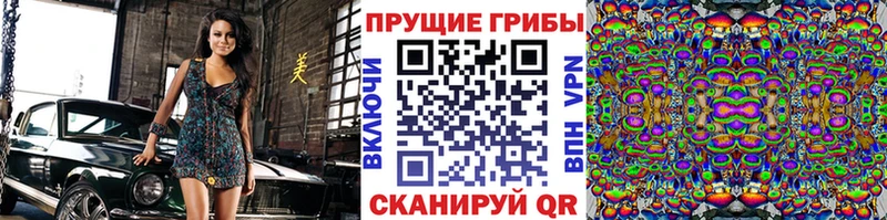 mega как войти  как найти закладки  Белая Холуница  Псилоцибиновые грибы Psilocybine cubensis 